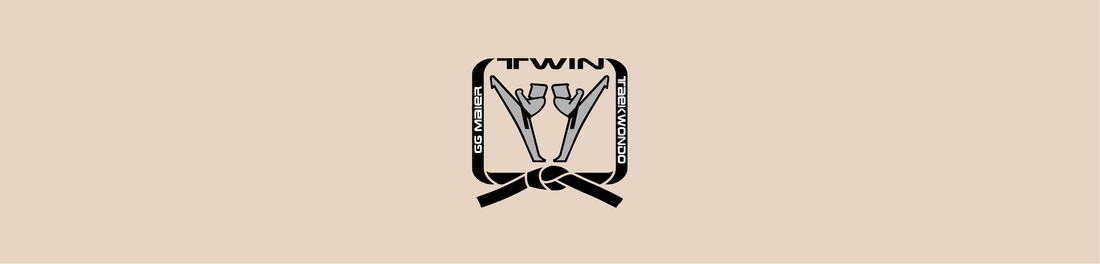 Aufbau & Farbwelt des TWIN Zeichens