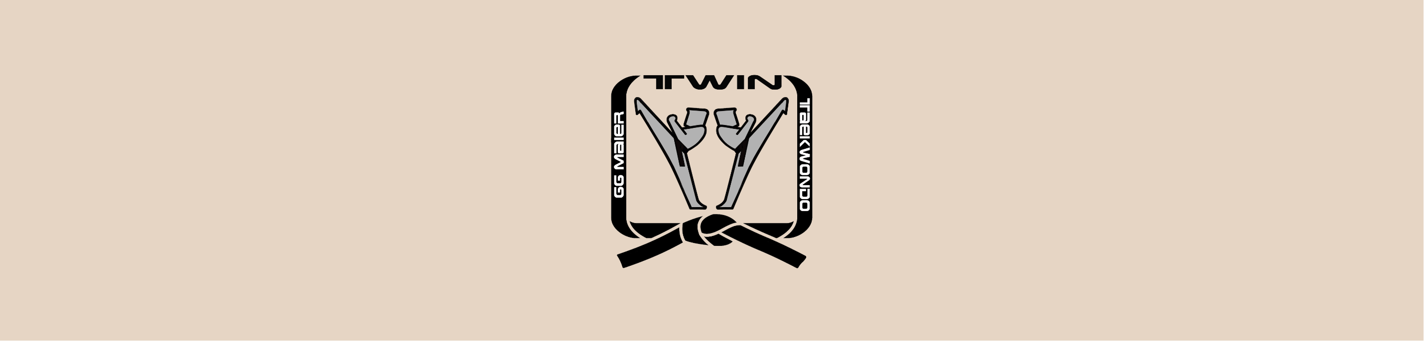 Aufbau & Farbwelt des TWIN Zeichens
